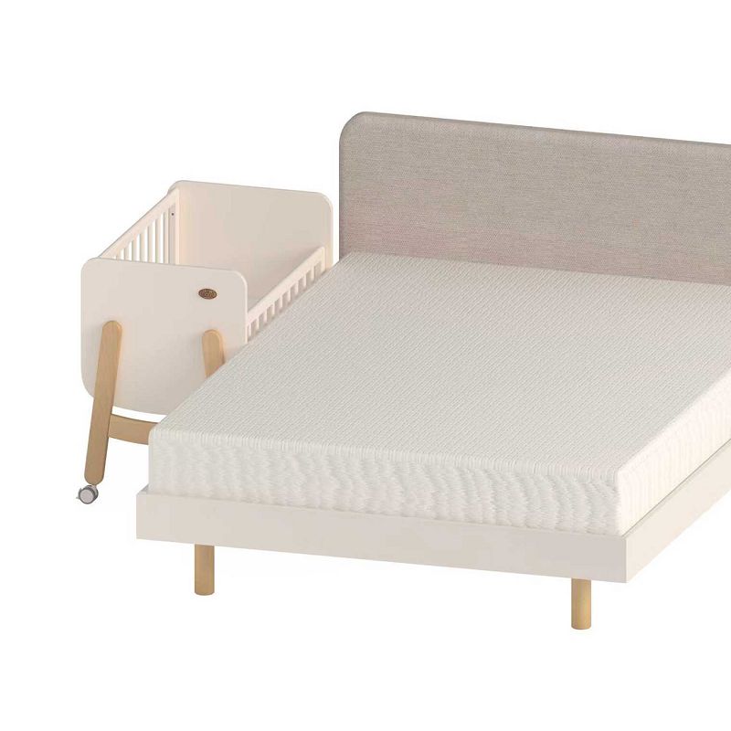 product-800-800